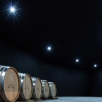 Partner Winery on the coast of Tuscany offering magical moments photo